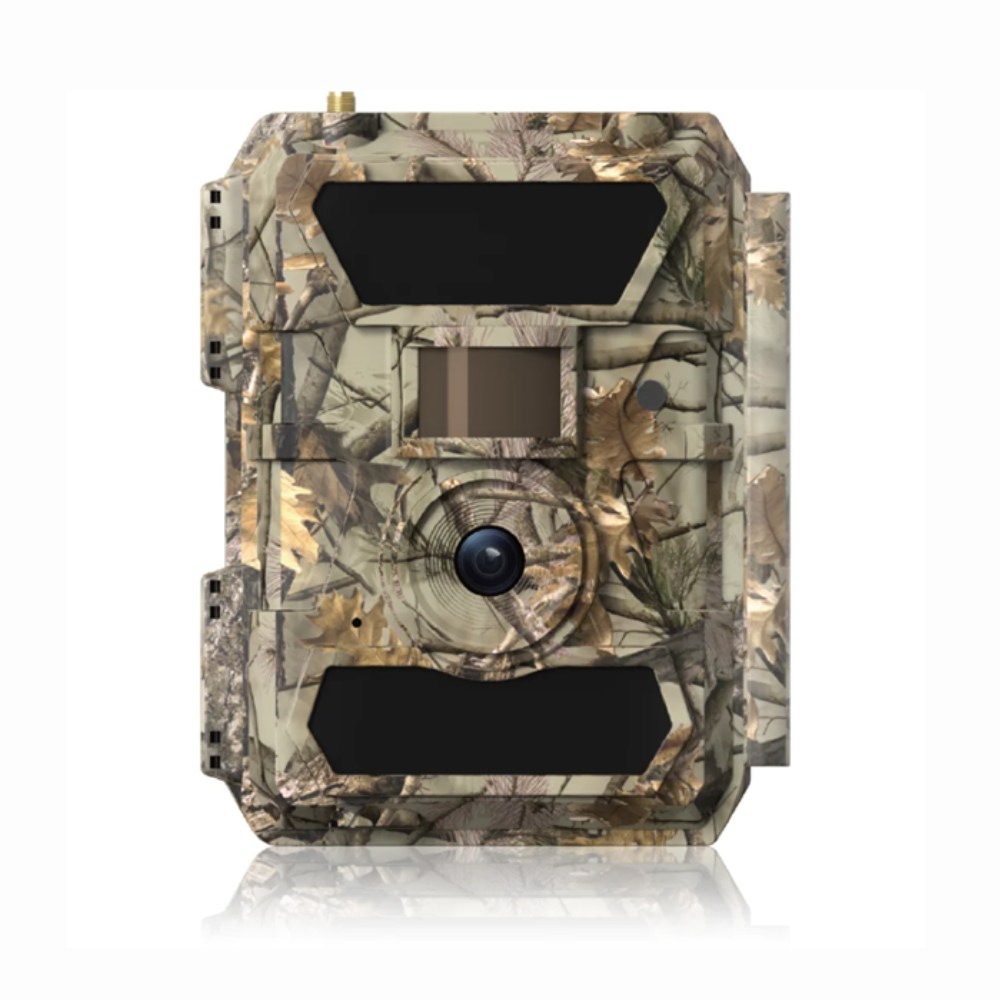 WildLifeBlog Pigeon 4G Lite